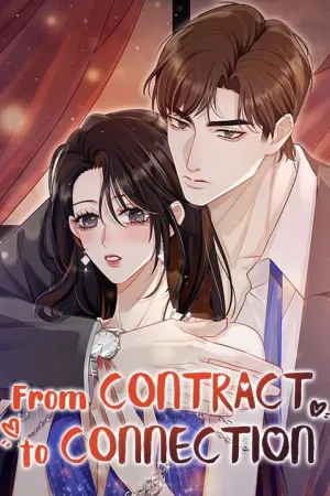From Contract to Connection