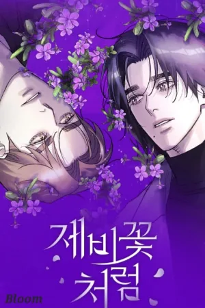 Like a Violet