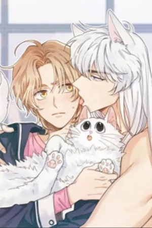 My One and Only Cat
